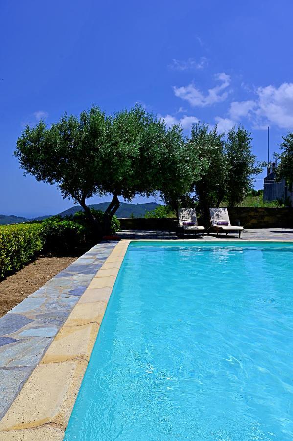 Erato Villa سكوبيلوس تاون المظهر الخارجي الصورة